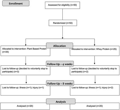 A Novel Plant-Based Protein Has Similar Effects Compared to Whey Protein on Body Composition, Strength, Power, and Aerobic Performance in Professional and Semi-Professional Futsal Players